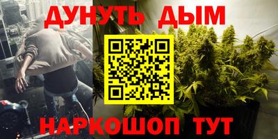 крисы Краснодар