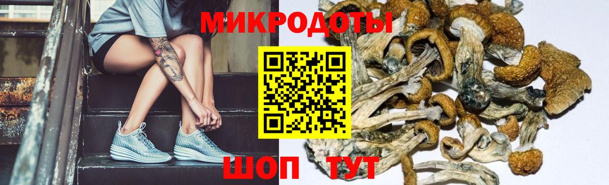 что такое наркотик  Галлюциногенные грибы ЛСД  Вход с VPN  Череповец  Галлюциногенные грибы MAGIC MUSHROOMS 
